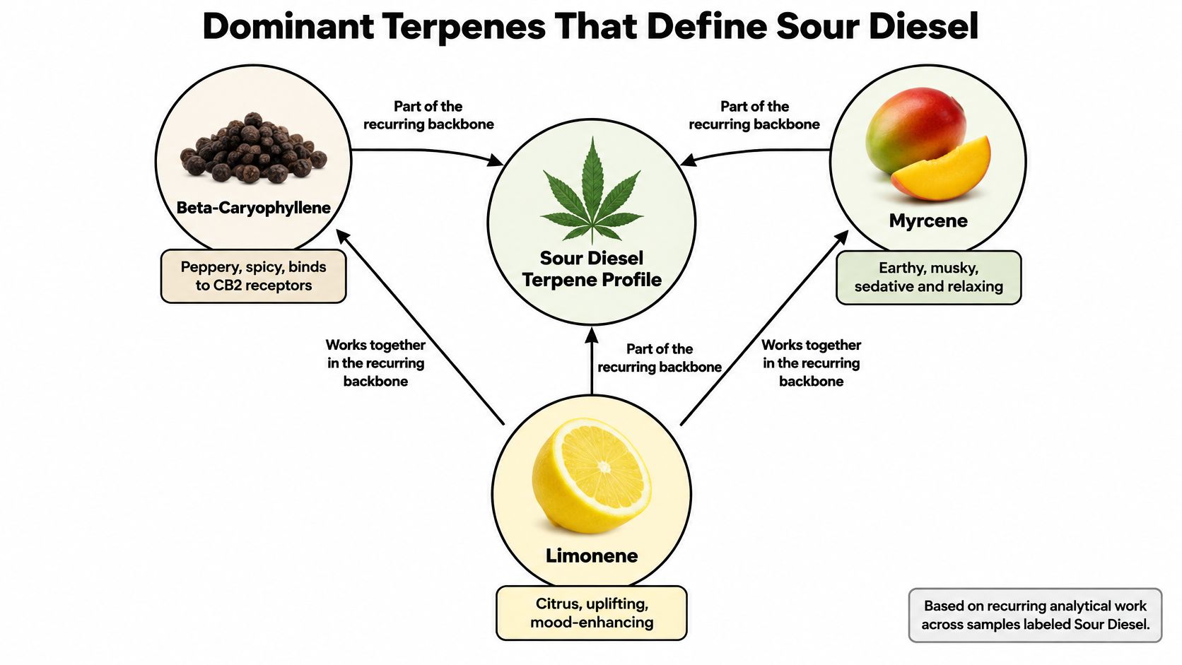 A diagram illustrating the three dominant terpenes defining the Sour Diesel profile: Beta-Caryophyllene, Myrcene, and Limonene.