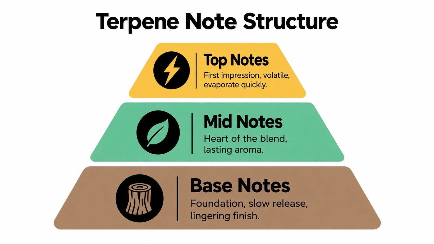 An infographic showing the three-tier Terpene Note Structure pyramid, illustrating top, mid, and base aromatic notes.