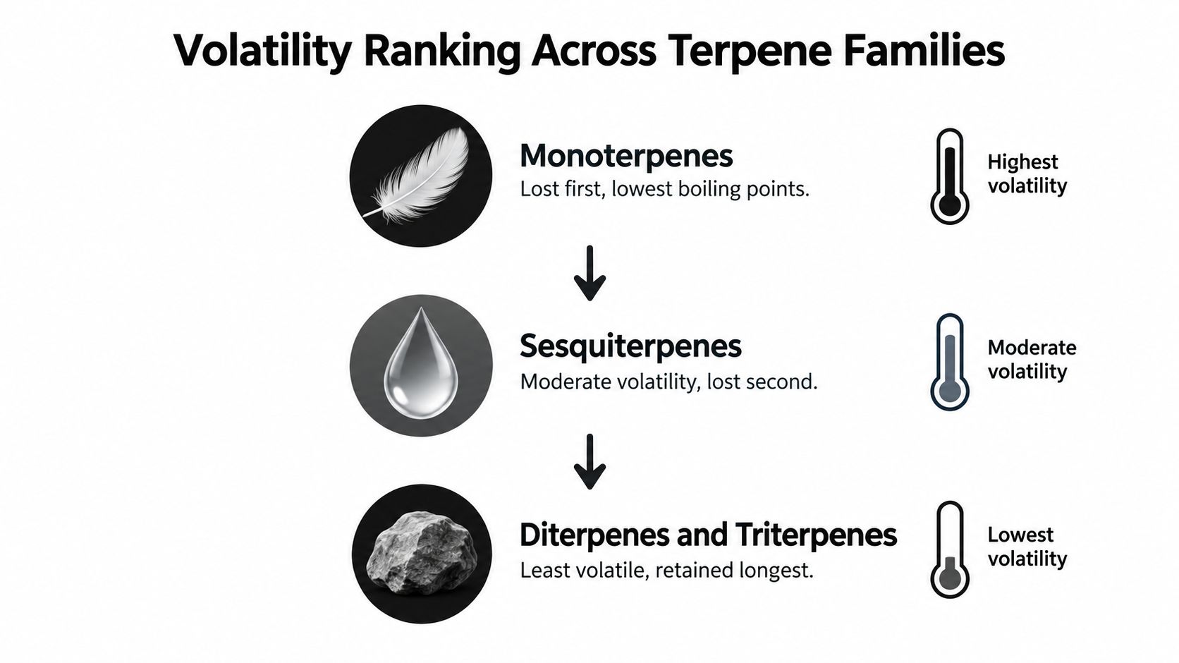 A chart showing volatility ranking across terpene families, from highly volatile monoterpenes to least volatile diterpenes.
