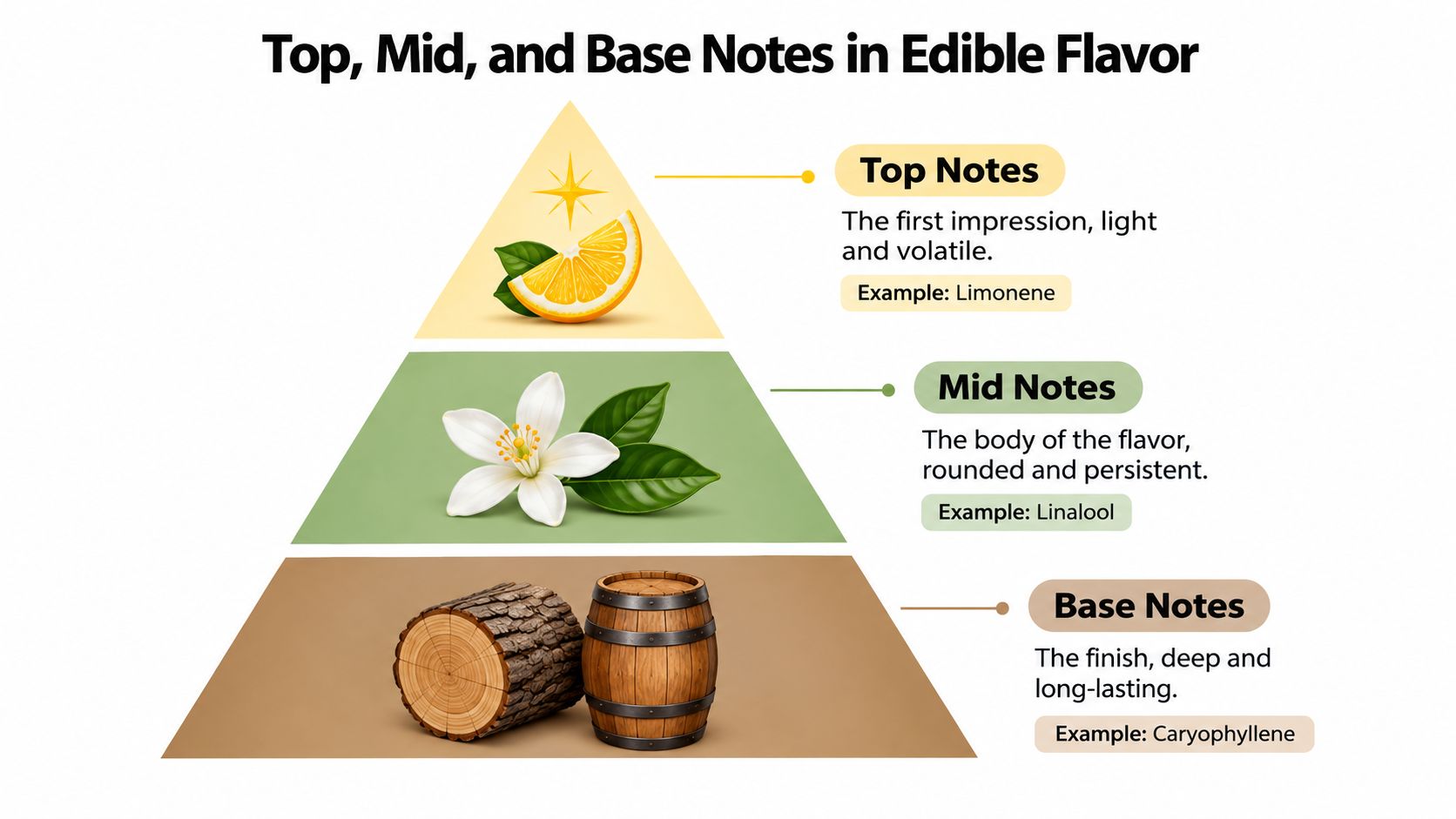 A pyramid diagram showing top, mid, and base notes in edible flavor with corresponding aromatic examples.