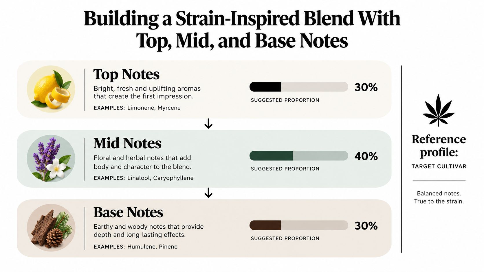 An infographic showing the ideal ratio of top, mid, and base notes for creating cannabis terpene blends.