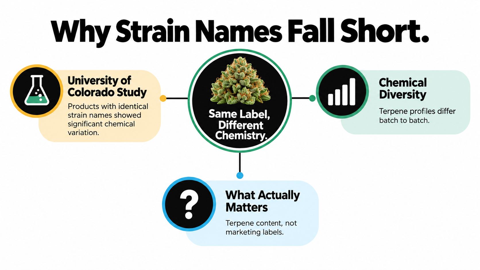 An infographic titled Why Strain Names Fall Short explaining how cannabis strain labels often lack chemical consistency.